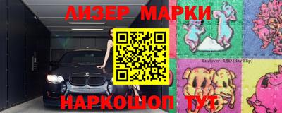 прущие грибы Вышний Волочёк