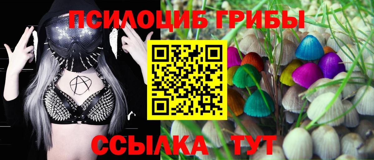 Псилоцибиновые грибы GOLDEN TEACHER Челябинск